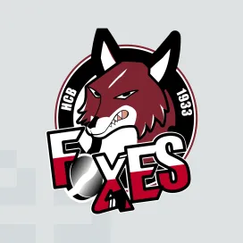 Hc bolzano